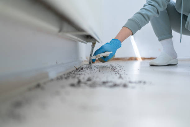 Best Exterminator Services  in Hilltop, SC